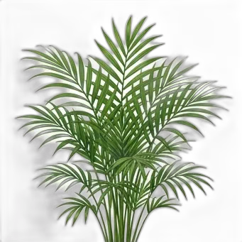 Palmera de salón — care guide, varieties and growing tips
